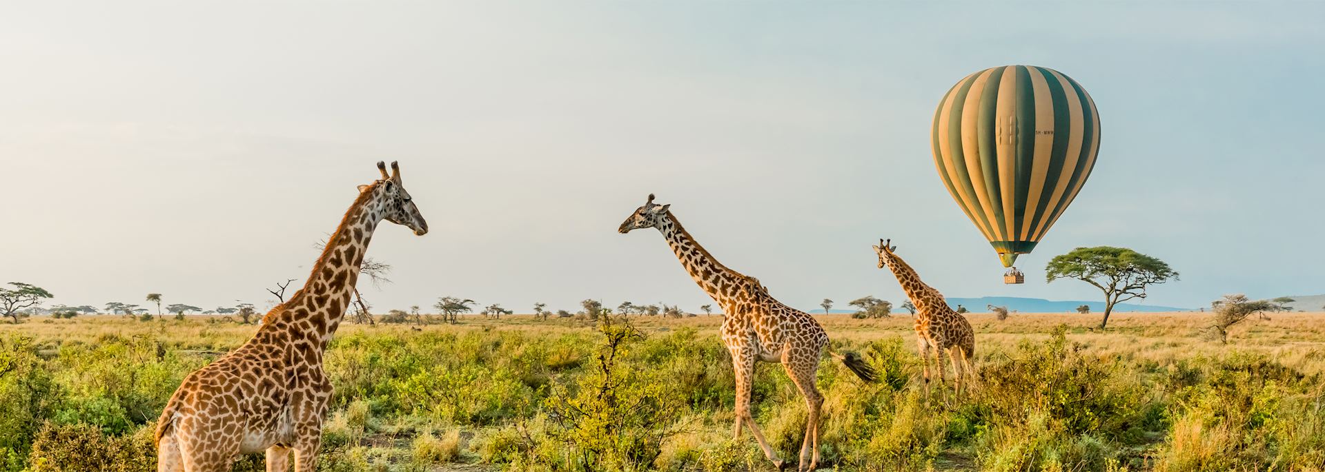 PA Club Networking Evening – discover Audley Private Travel